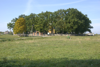 Fot. Vytautas Balčytis, 2008, LKTI SMPA, F2-2a-1